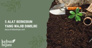 Read more about the article 5 Alat Berkebun yang Wajib Dimiliki