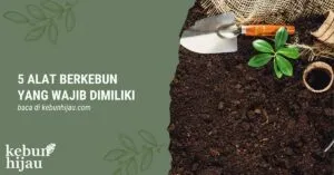 Read more about the article 5 Alat Berkebun yang Wajib Dimiliki