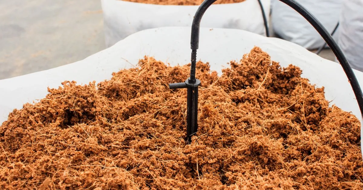 Serat Kelapa (Cocopeat)