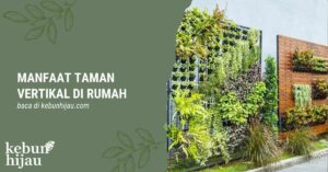 Read more about the article Keuntungan Memiliki Taman Vertikal Sederhana di Rumah
