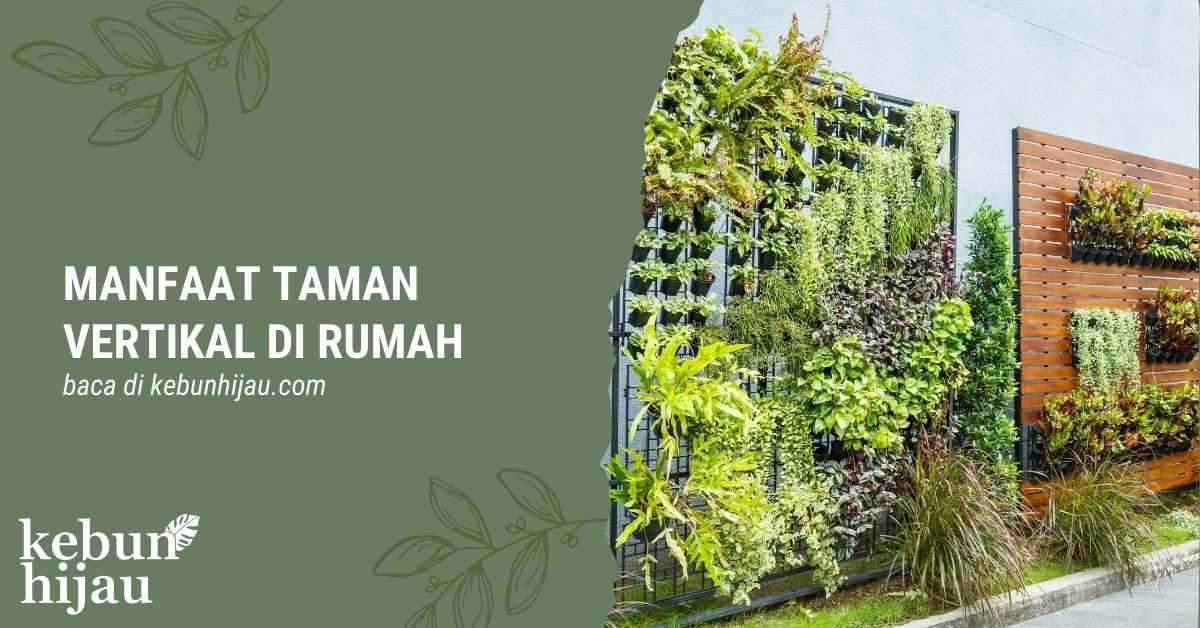 You are currently viewing Keuntungan Memiliki Taman Vertikal Sederhana di Rumah