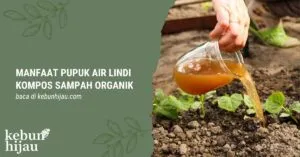 Read more about the article Manfaat Pupuk Air Lindi Kompos Sampah Organik